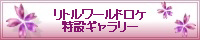 *�ꋓ�X�U�����J*